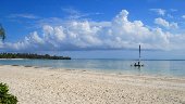 Santa Maria Coral Park